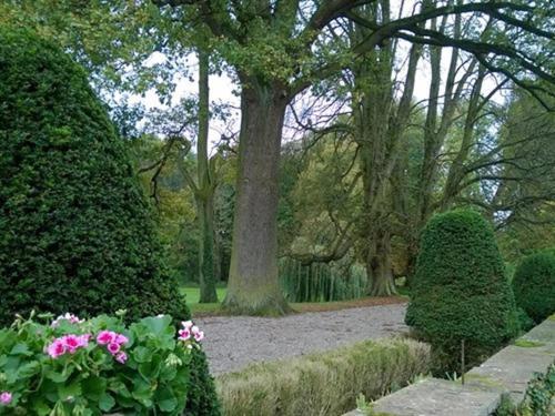 Le Château D'Osthoffen Ngoại thất bức ảnh
